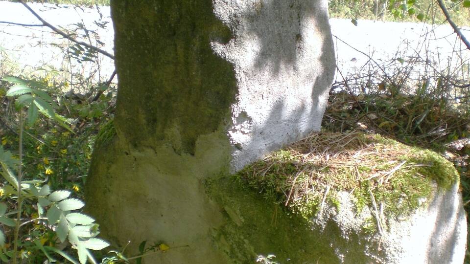 A moss-covered stone structure in a forested area.