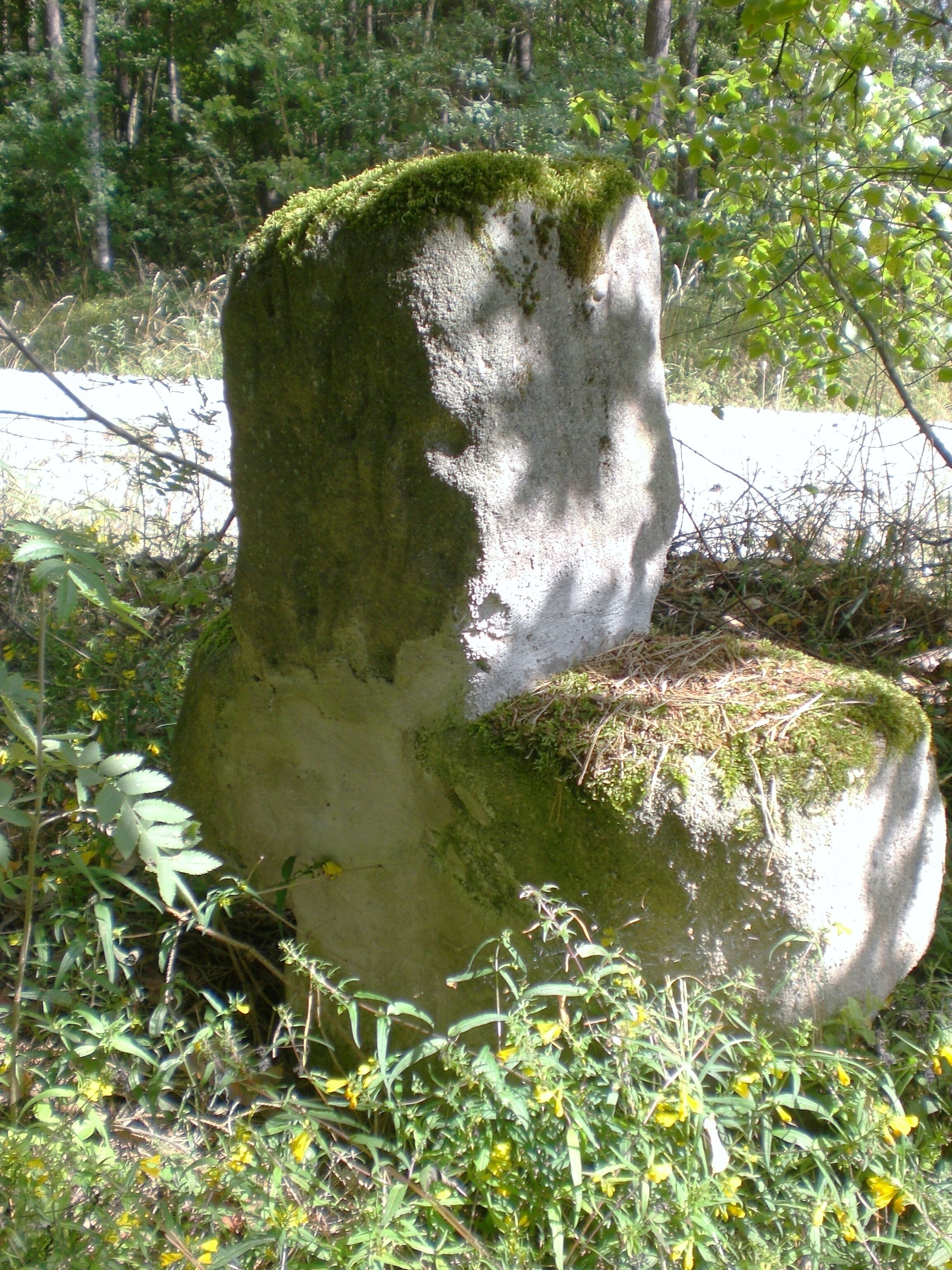 A moss-covered stone structure in a forested area.