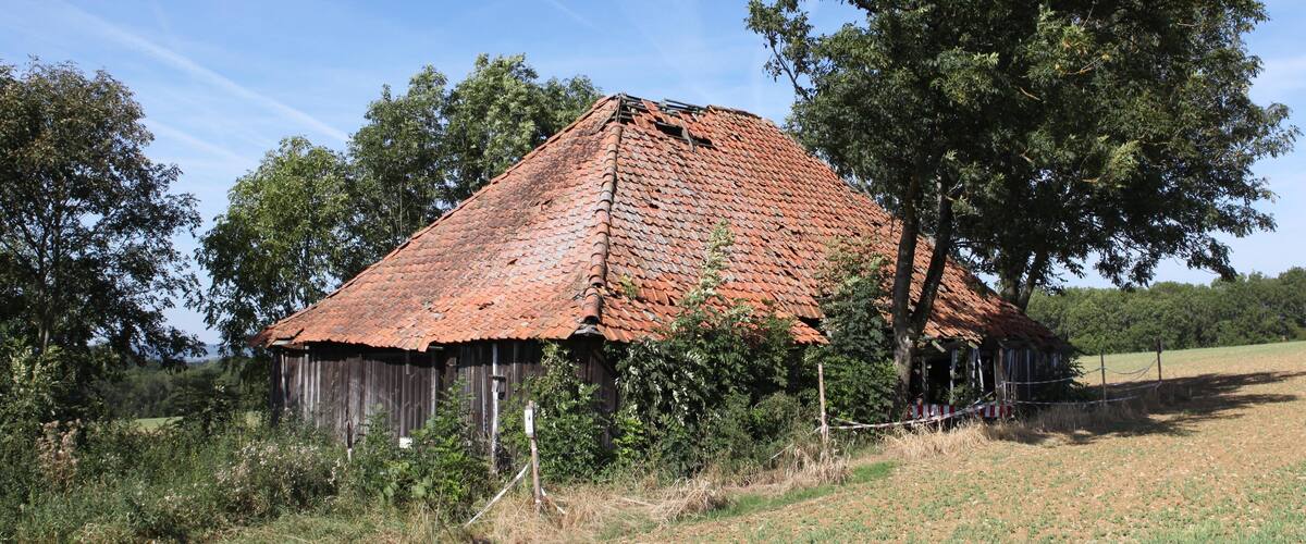 A rustic barn with a red-tiled roof, surrounded by trees and a grassy field.