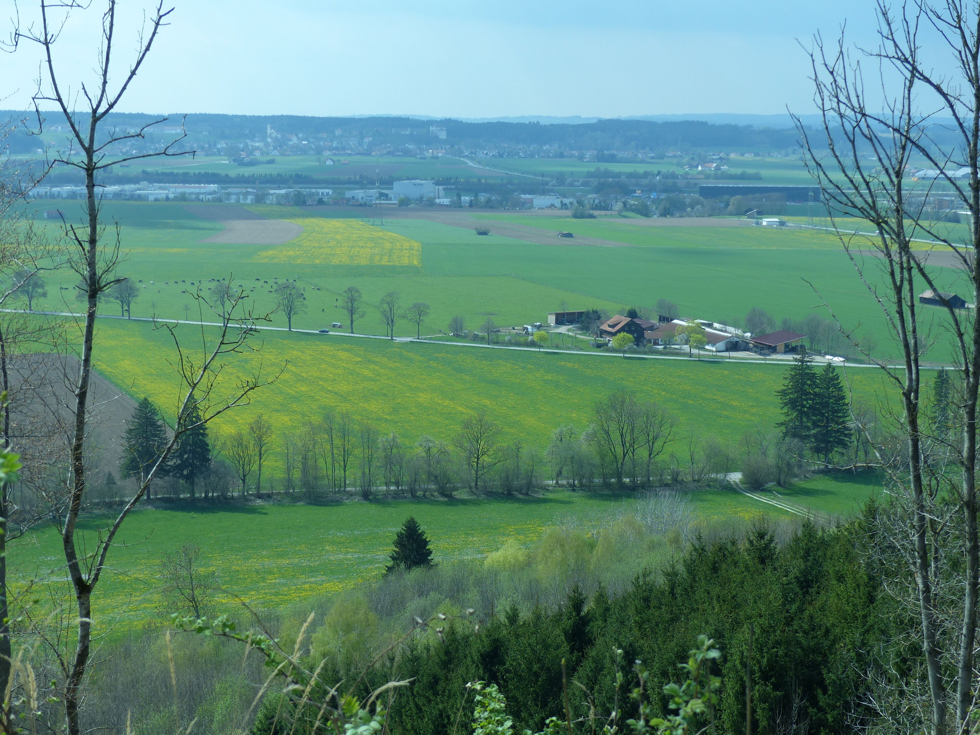A rural landscape with green fields, a road, and scattered buildings.