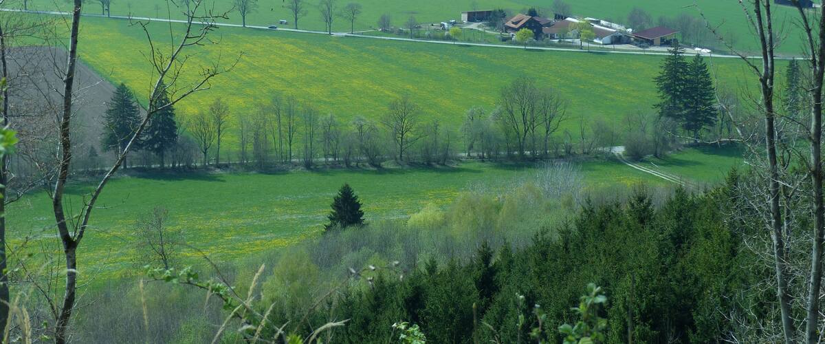 A rural landscape with green fields, a road, and scattered buildings.