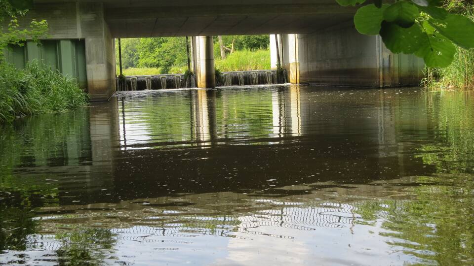 A bridge over a calm river with greenery around.