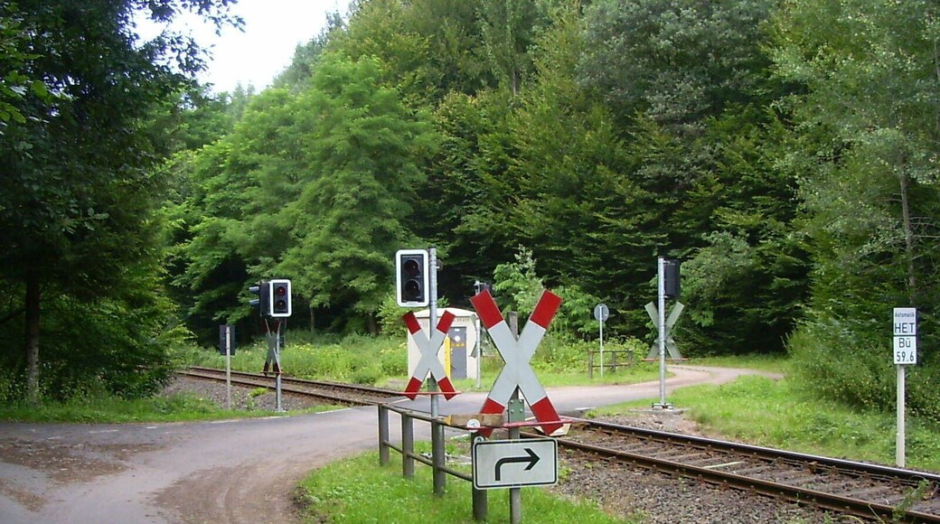 Romantic level crossing on the Queichtal railway.