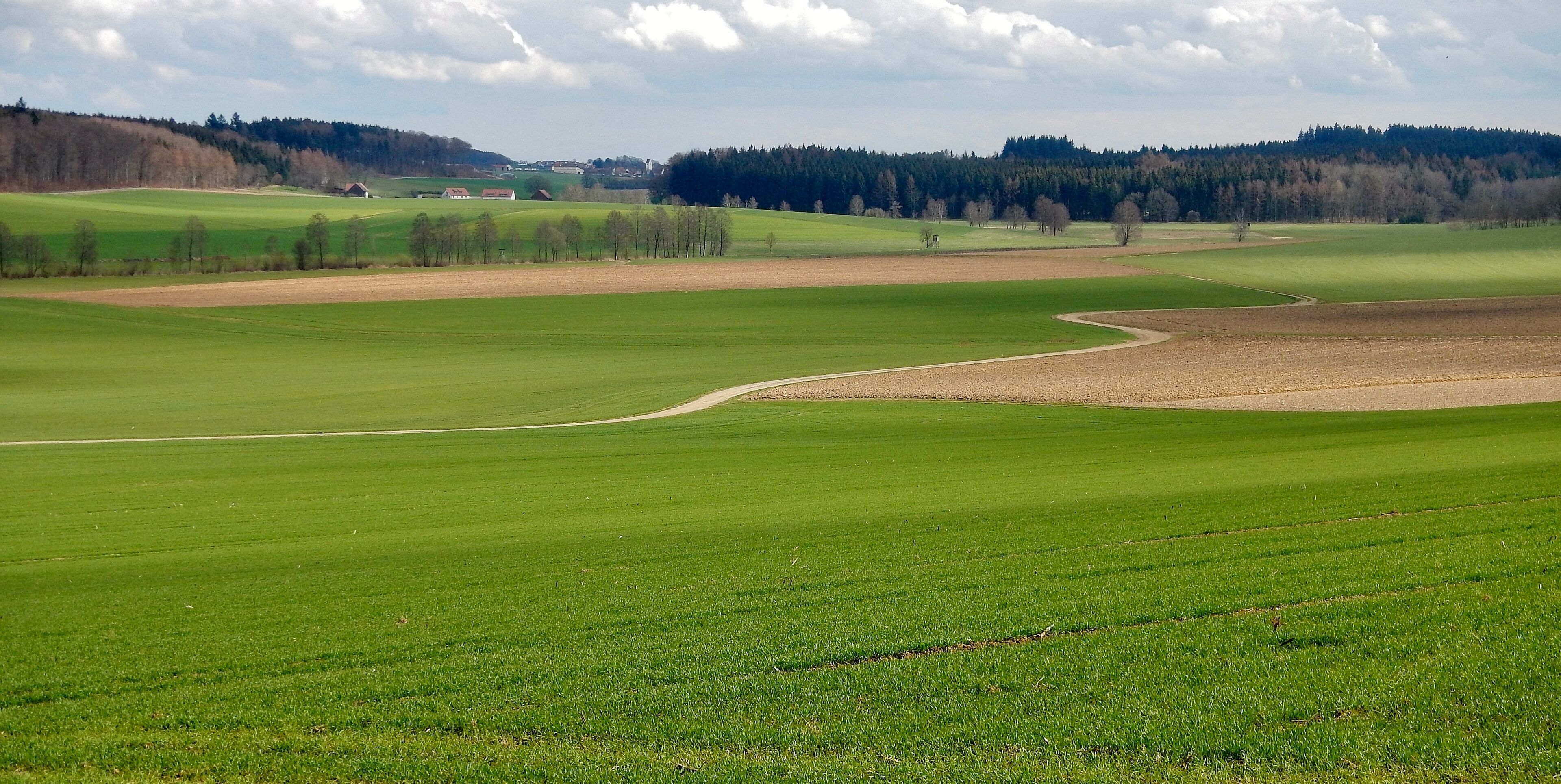 Landschaft bei Dürnau