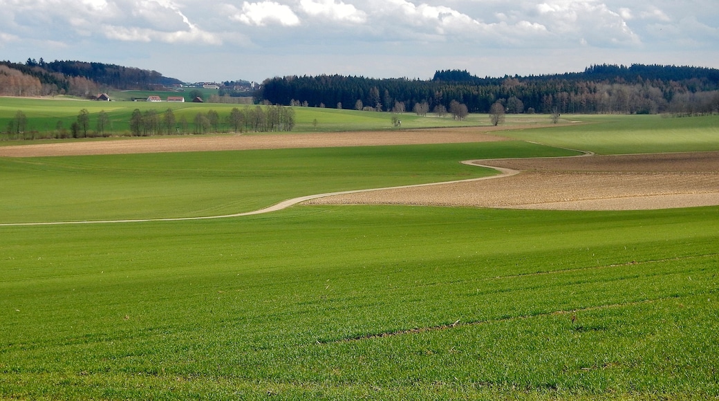 Landschaft bei Dürnau