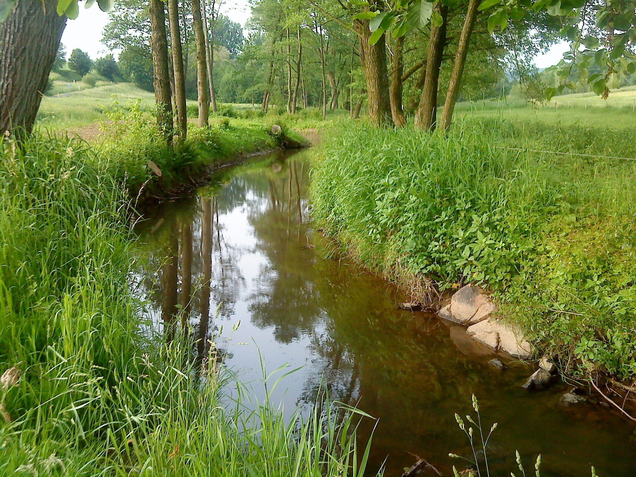Der Westerbach vor Schöllkrippen-Schneppenbach