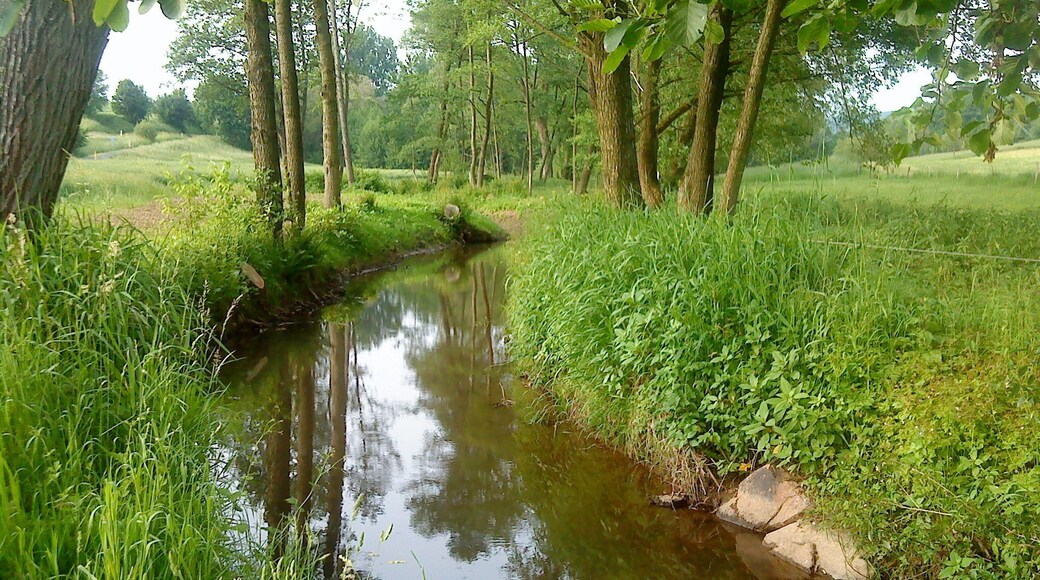 Der Westerbach vor Schöllkrippen-Schneppenbach