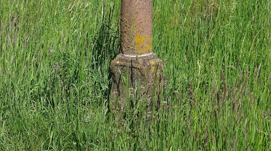 Wayside shrine in Schöllkrippen at Keilrainstraße opposite house 15