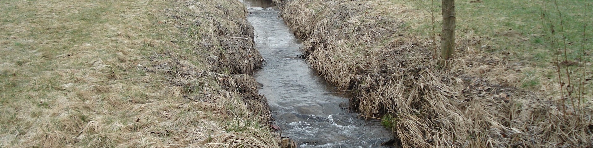 Der Schneppenbach vor seiner MĂŒndung