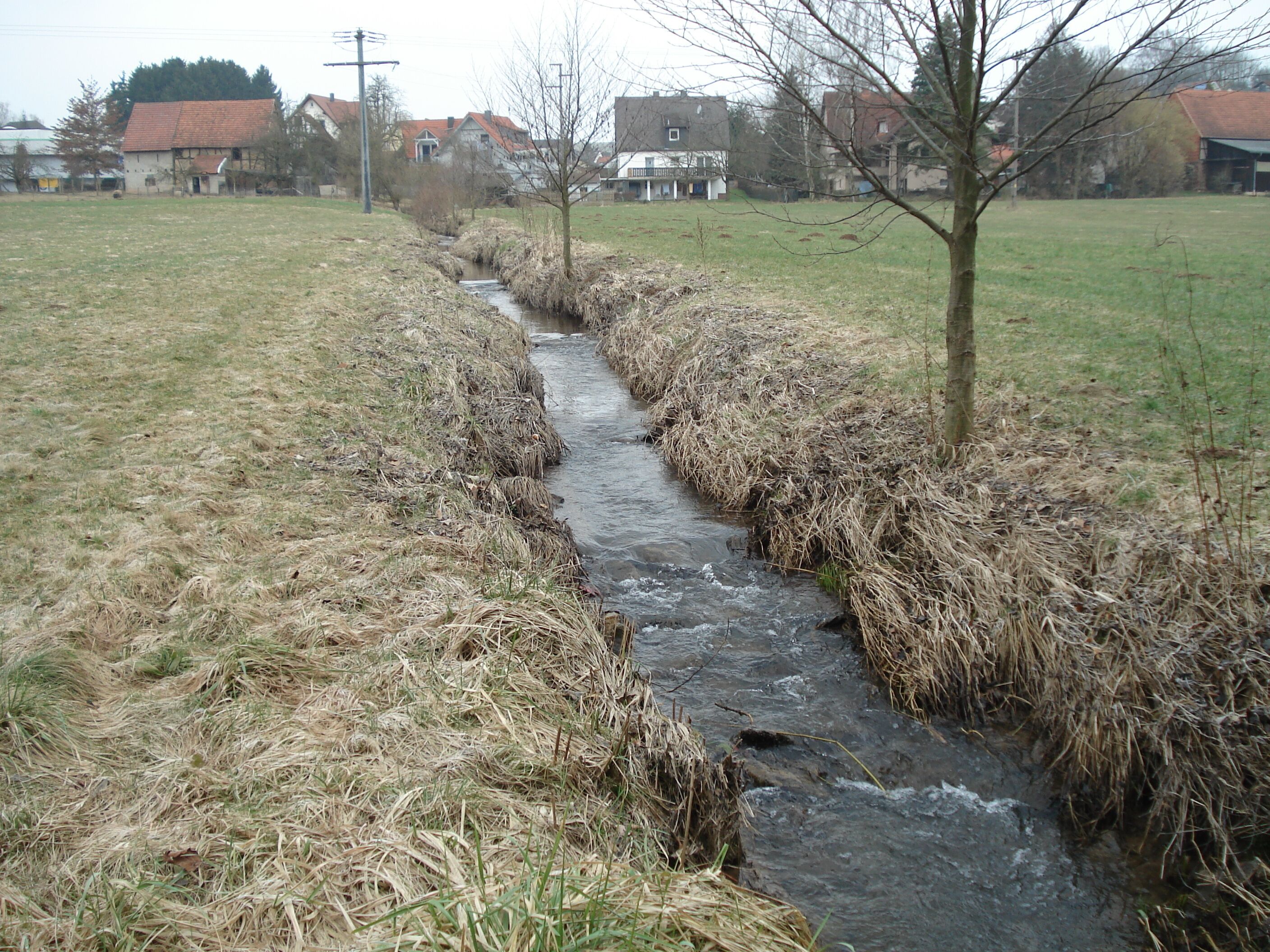 A narrow stream flowing through a grassy field with houses in the background.