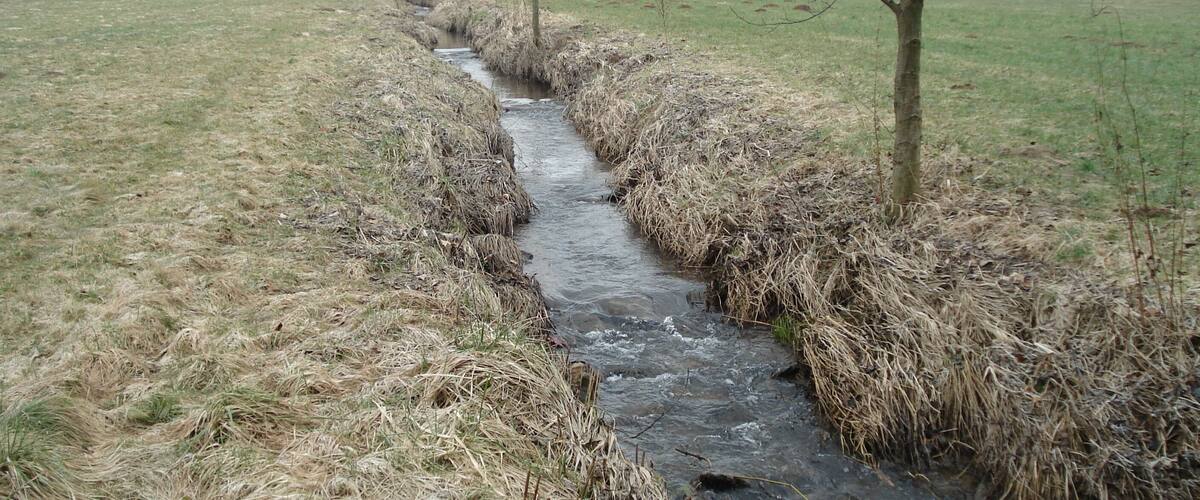 A narrow stream flowing through a grassy field with houses in the background.