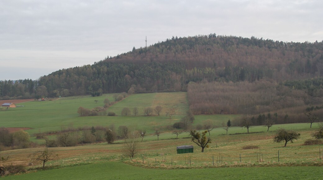 Der Reuschberg bei Schöllkrippen von Schabernack aus gesehen