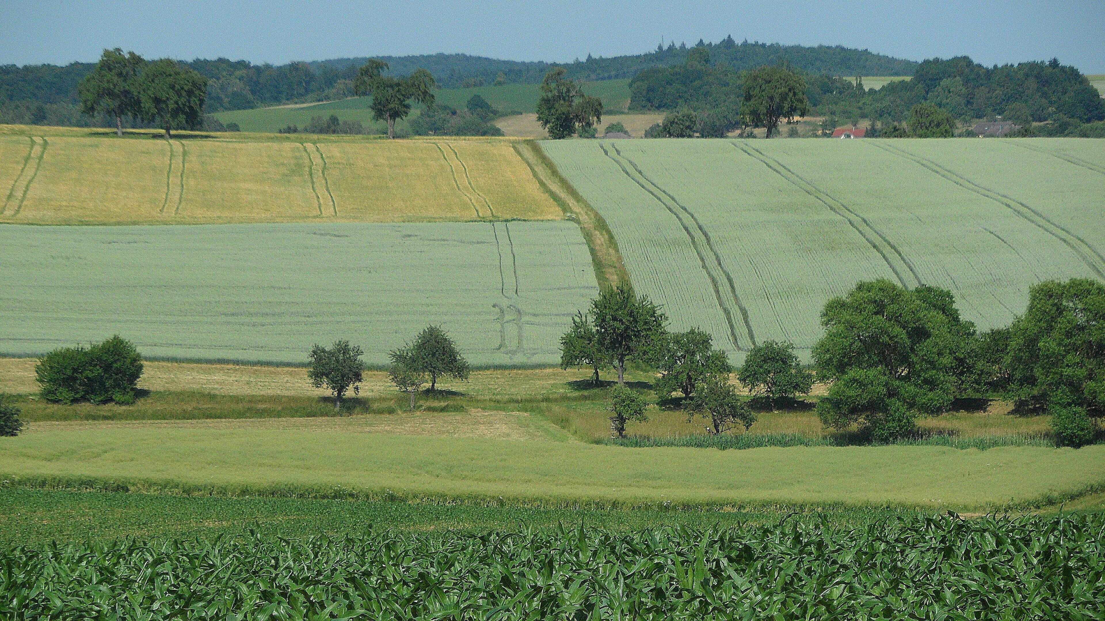 A rural landscape with fields, trees, and rolling hills.