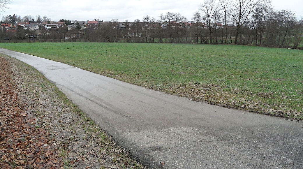 Schefflenz: Boden des Schefflenztals, zwischen Mittel- und Oberschefflenz, nach Ausuferung, Blick talaufwärts, Bachverlauf entlang Baumreihe in Bildmitte; Januar 2018
