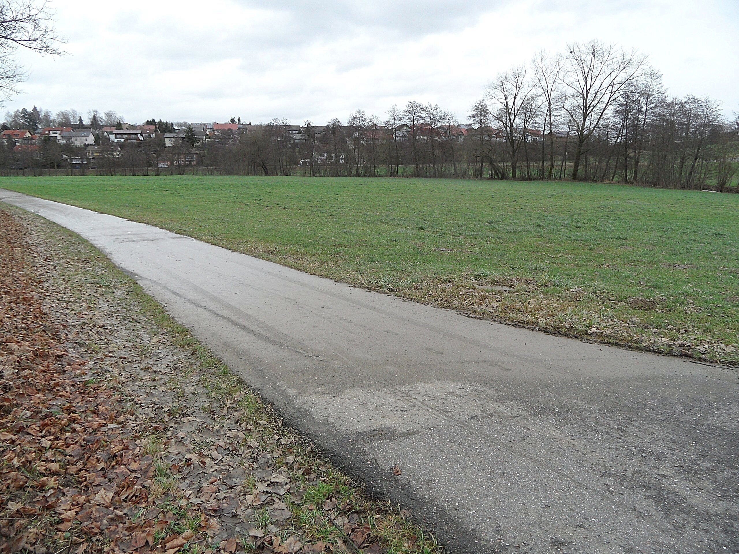 A paved path alongside a grassy field with leaf-covered ground, bordered by leafless trees and a residential area in the background.