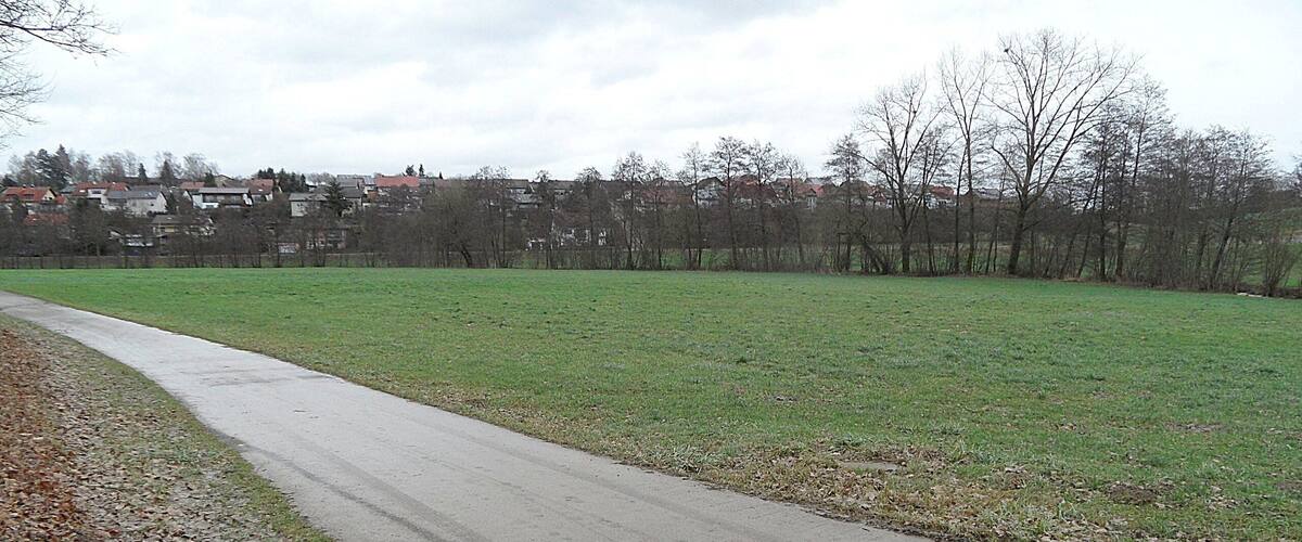 A paved path alongside a grassy field with leaf-covered ground, bordered by leafless trees and a residential area in the background.