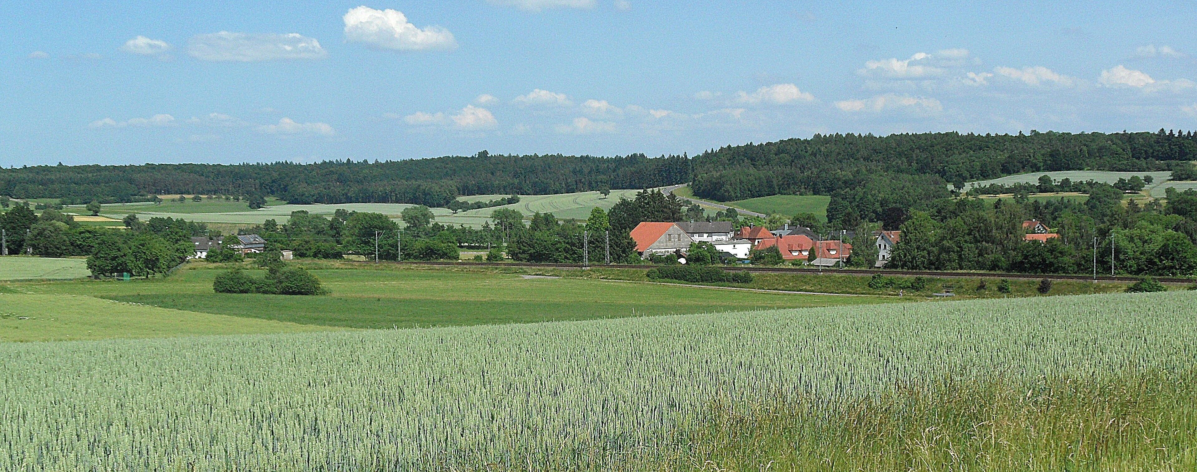 Schefflenz-Oberschefflenz, Gewann Weiher Blick nach Osten, auf Höhe im Hintergrund der Waidachswald; Juni 2015