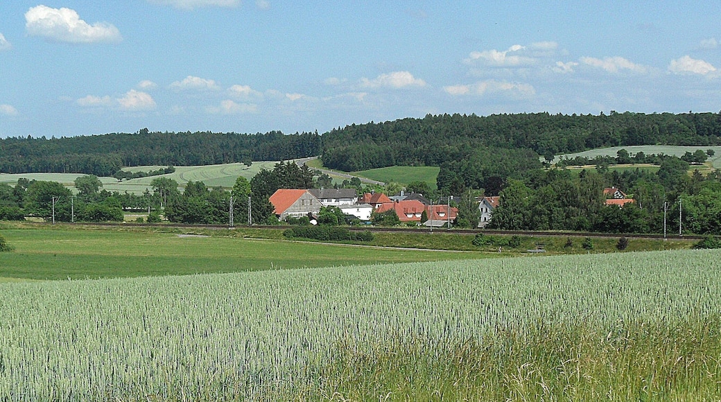 Schefflenz-Oberschefflenz, Gewann Weiher Blick nach Osten, auf Höhe im Hintergrund der Waidachswald; Juni 2015