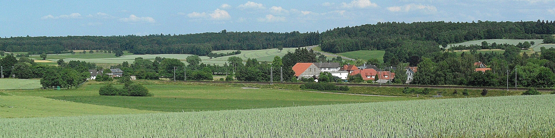 Schefflenz-Oberschefflenz, Gewann Weiher Blick nach Osten, auf Höhe im Hintergrund der Waidachswald; Juni 2015