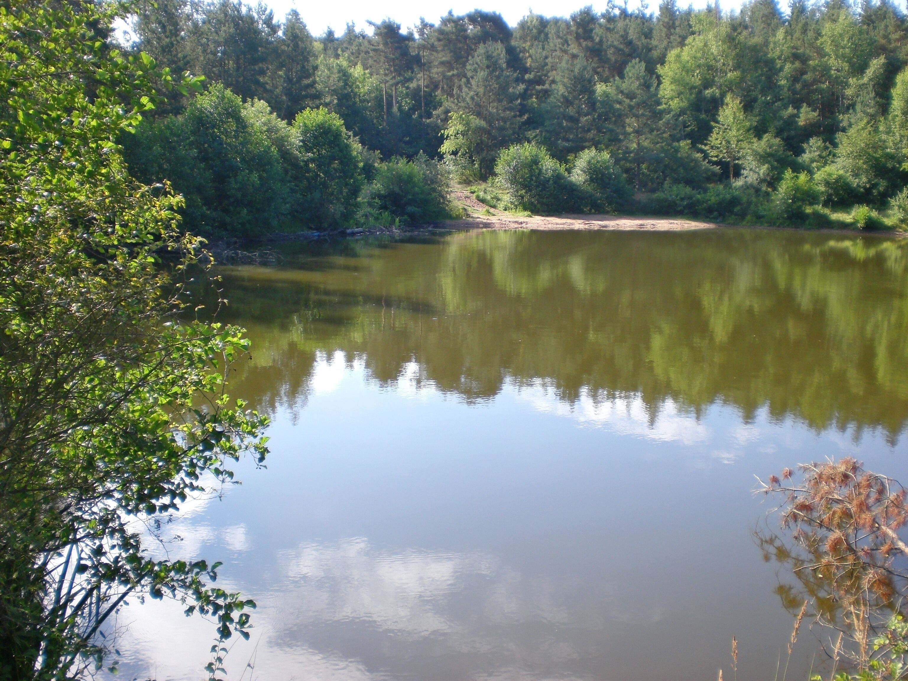 Jägersee im August 2012