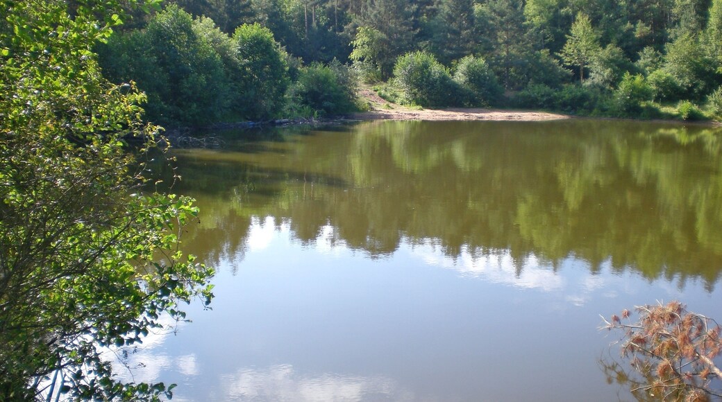 Jägersee im August 2012