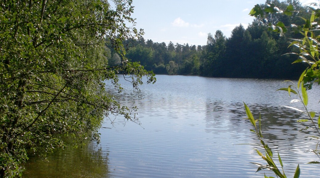 Jägersee im August 2012