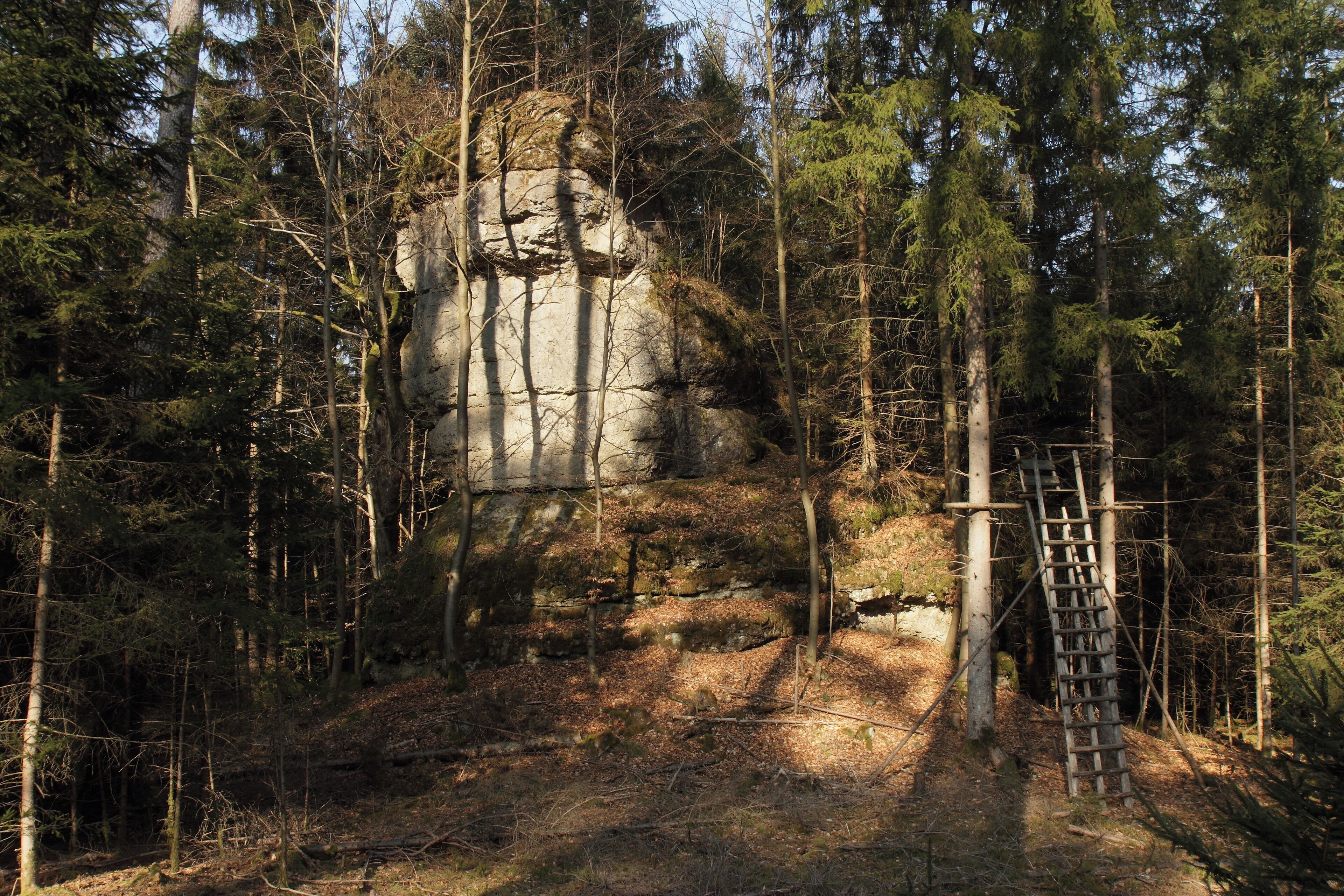 A forest with a large rock formation and a wooden ladder.