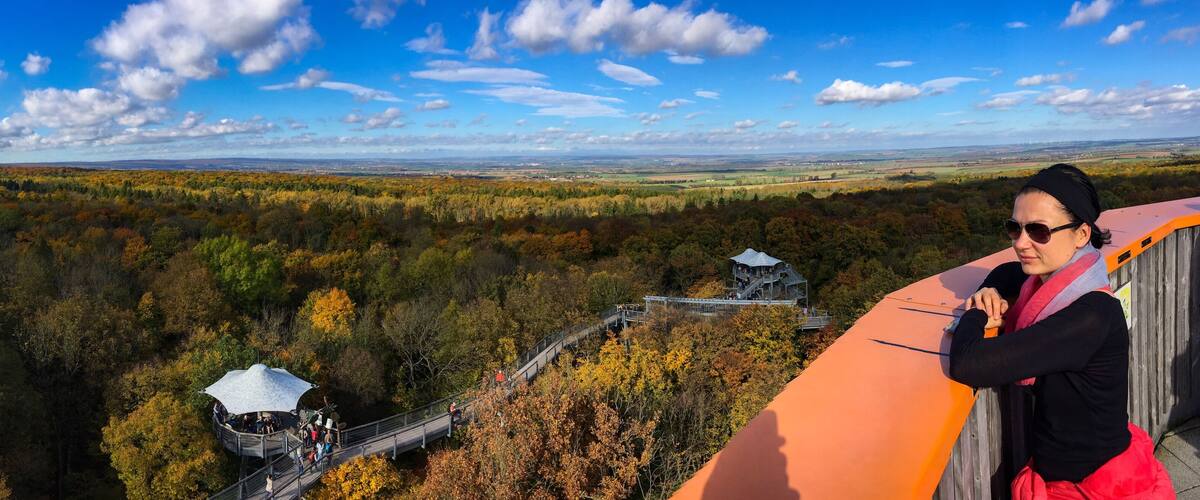 A scenic overlook with a wooden platform, a glass bridge, and a lookout tower.