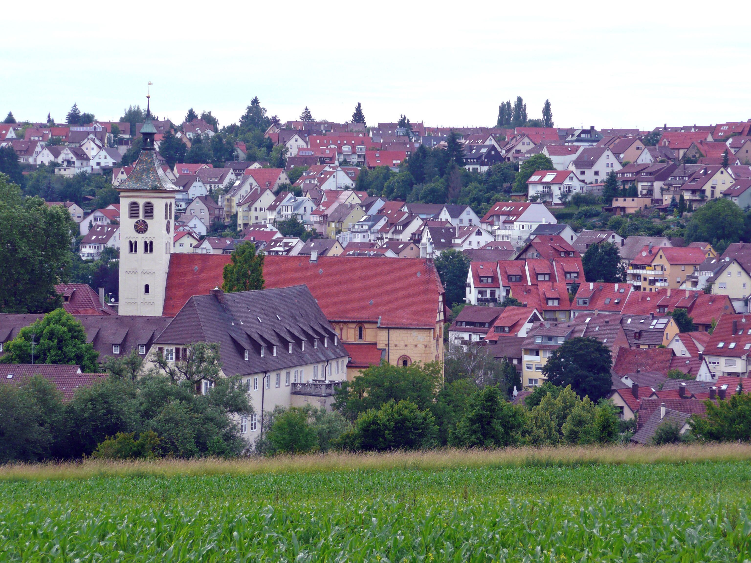 A town with a prominent clock tower, surrounded by red-roofed houses and a green field in the foreground.