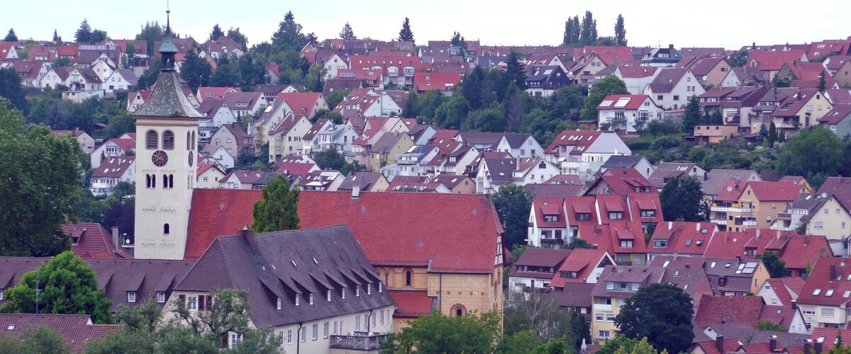 A town with a prominent clock tower, surrounded by red-roofed houses and a green field in the foreground.