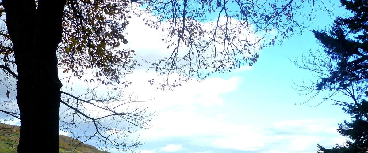 Blick in das Rheintal bei Rüdesheim