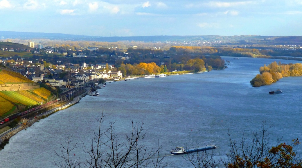 Blick in das Rheintal bei Rüdesheim