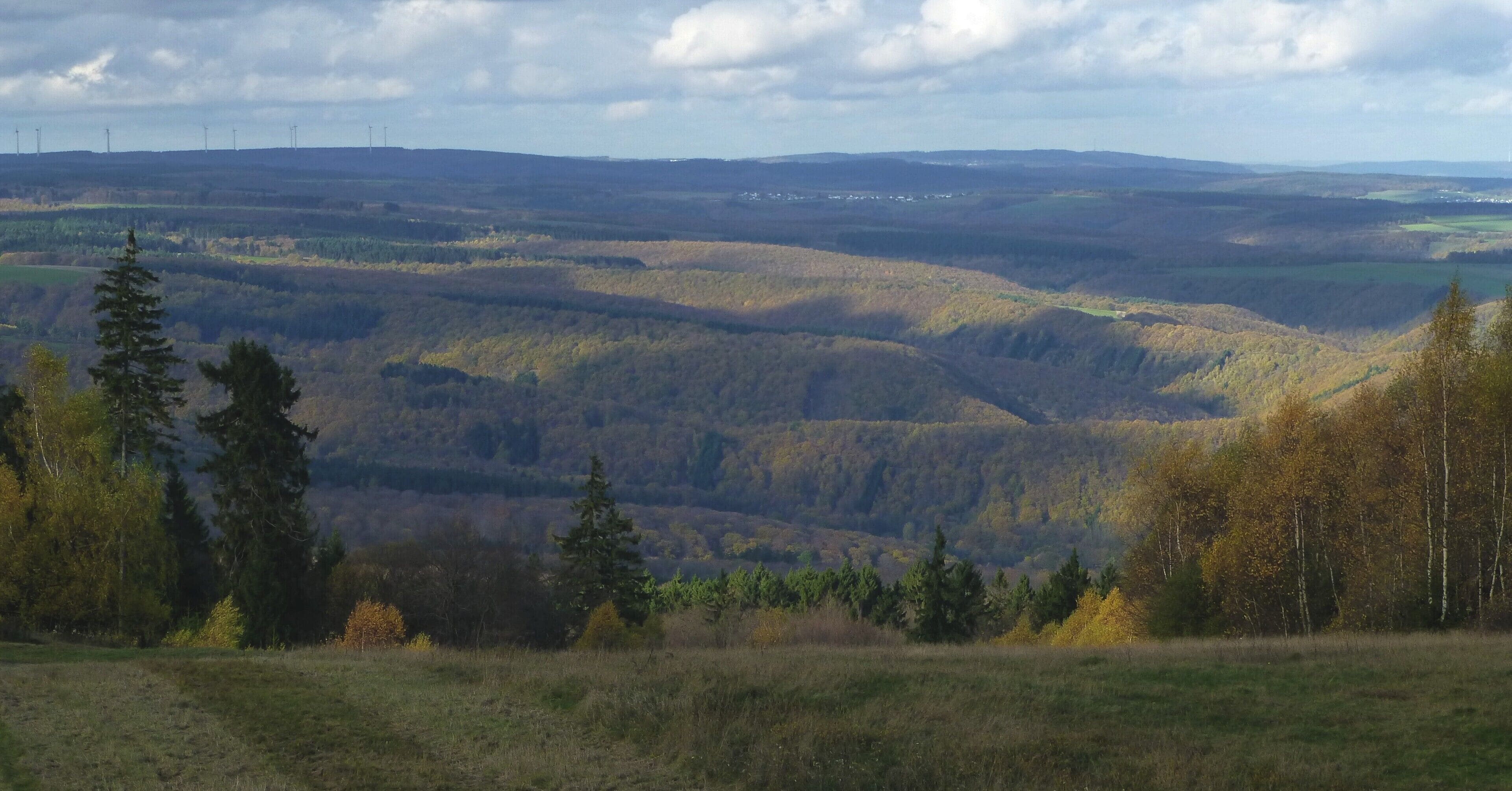Nähe Salzkopf – Blick über den Binger Wald in Richtung Wiebelsheim