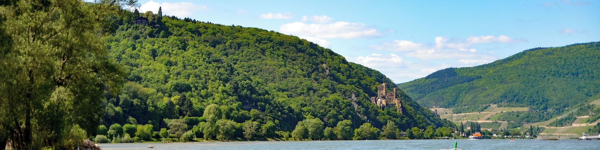 Burg Rheinstein und Schweizerhaus am Rhein