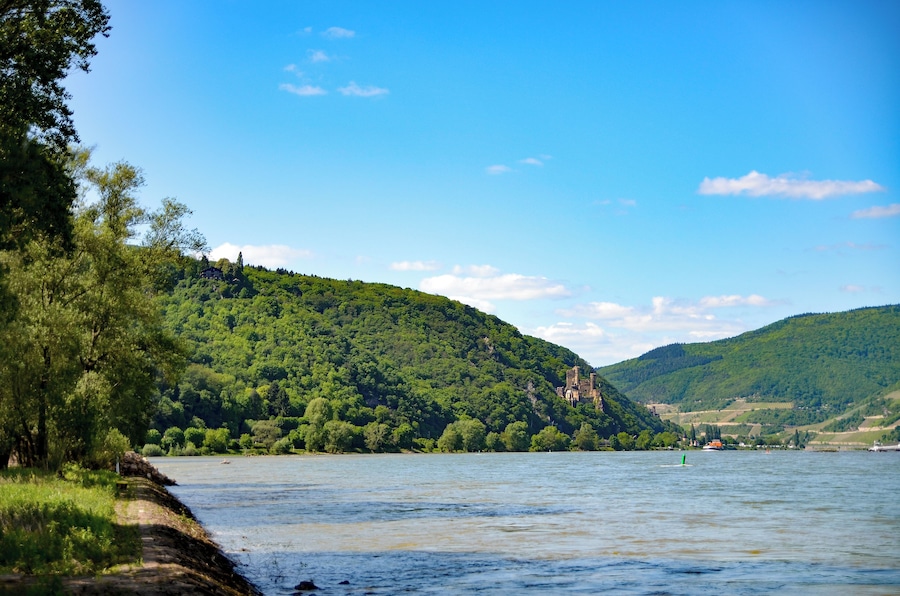 A river with a castle on a hill, surrounded by lush greenery.