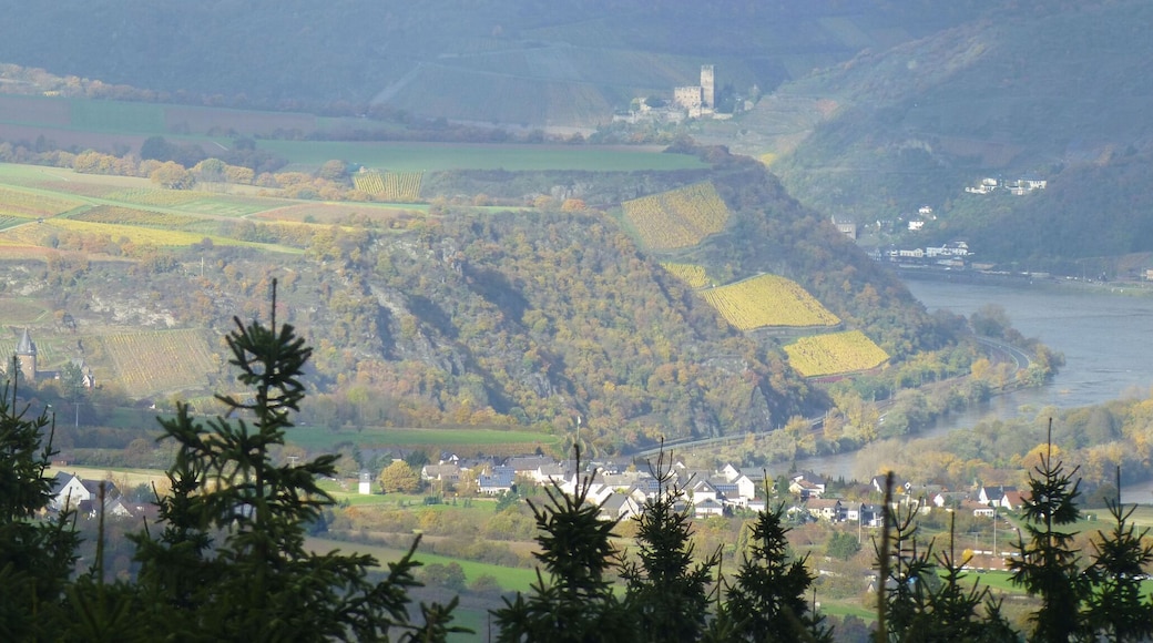 Blick vom Salzkopf auf das Rheintal bei Bacharach