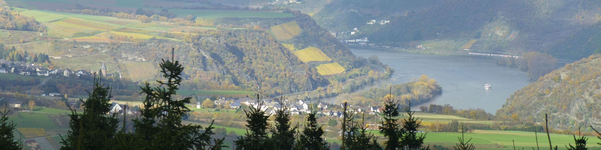 Blick vom Salzkopf auf das Rheintal bei Bacharach