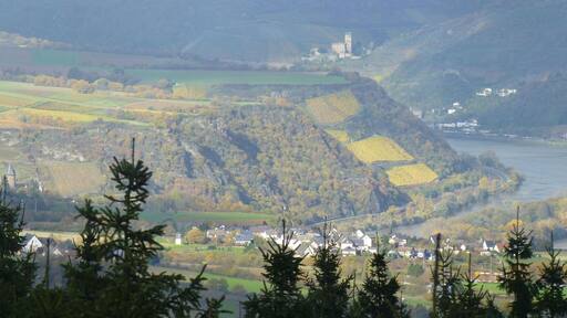 Blick vom Salzkopf auf das Rheintal bei Bacharach