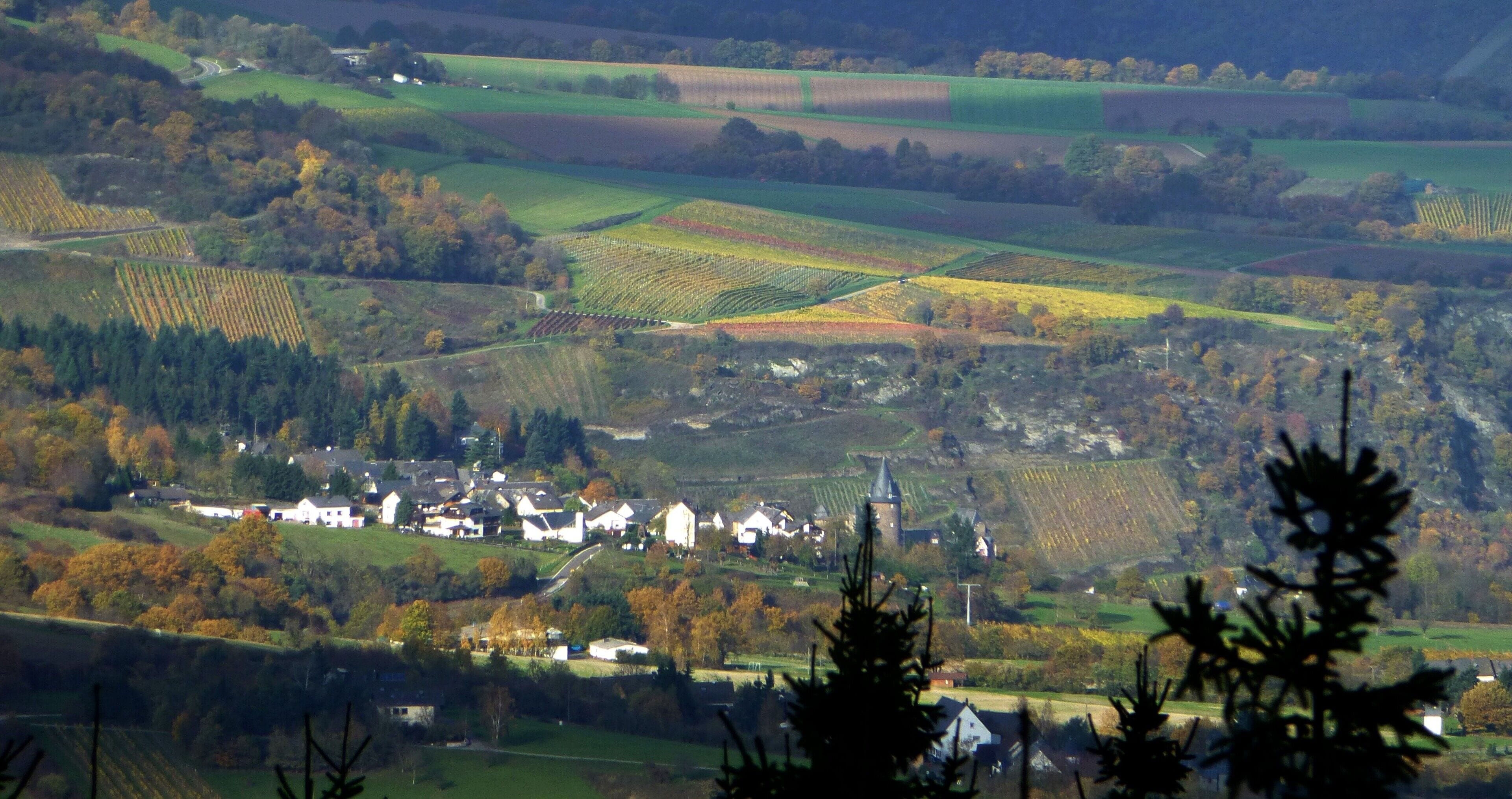 Blick vom Salzkopf auf die Burg Stahleck bei Bacharach