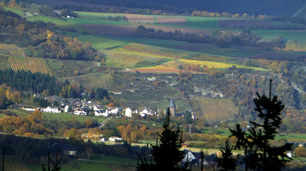 Blick vom Salzkopf auf die Burg Stahleck bei Bacharach