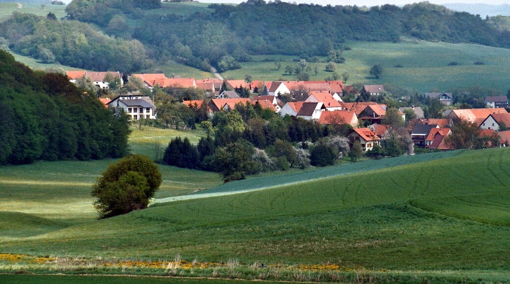 Dennweiler-Frohnbach, view to the village