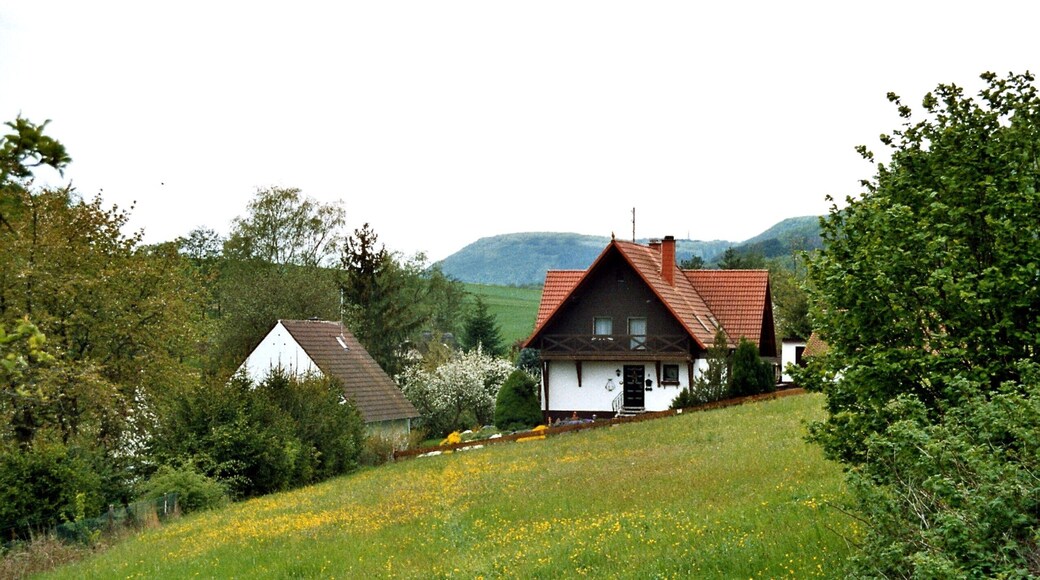 Dennweiler-Frohnbach, living in the green