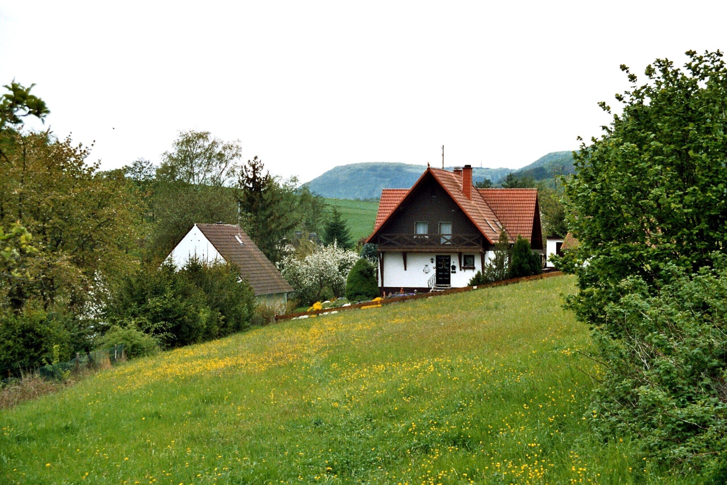 A house on a grassy hill with a red roof, surrounded by trees and a field of yellow flowers.