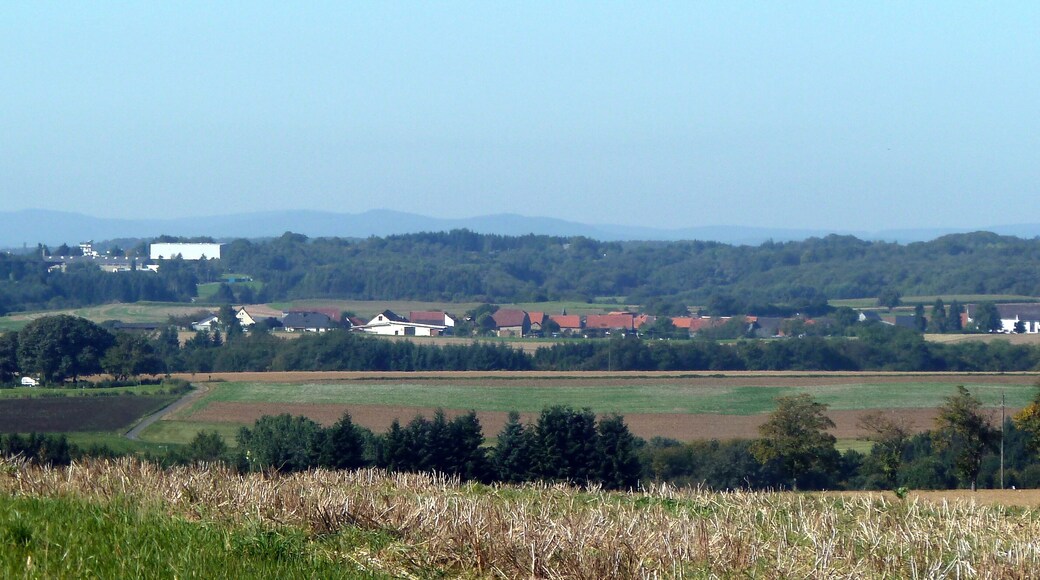 Ippenschied von Gebroth aus gesehen – im Hintergrund der ehemalige Flugplatz Pferdsfeld