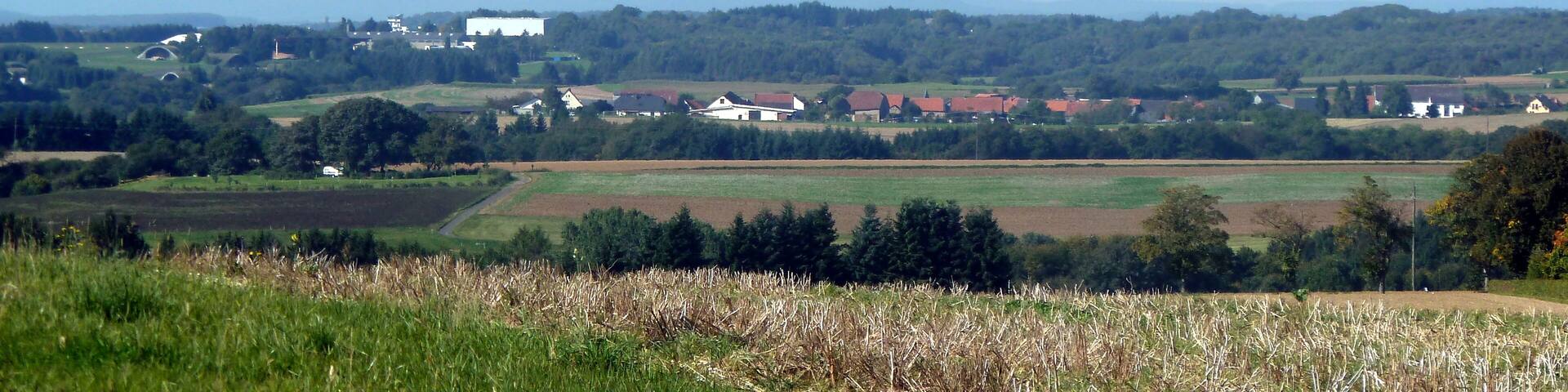 Ippenschied von Gebroth aus gesehen – im Hintergrund der ehemalige Flugplatz Pferdsfeld