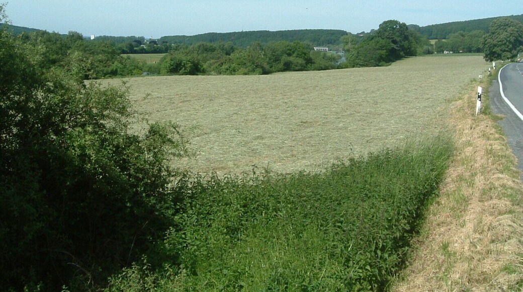 Blick über die Feldflur westlich von Waltringen. Wiese links der Straße (Waltringer Weg) im Naturschutzgebiet „Ruhraue“ (NSG SO-016) in Ense. Im Hintergrund ist die Ruhr zu sehen.