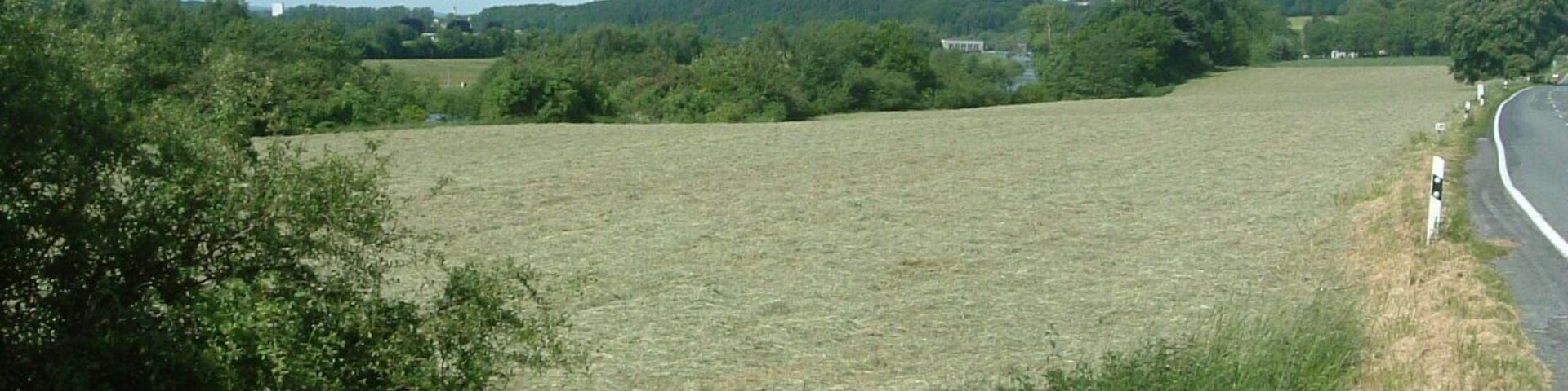 Blick über die Feldflur westlich von Waltringen. Wiese links der Straße (Waltringer Weg) im Naturschutzgebiet „Ruhraue“ (NSG SO-016) in Ense. Im Hintergrund ist die Ruhr zu sehen.