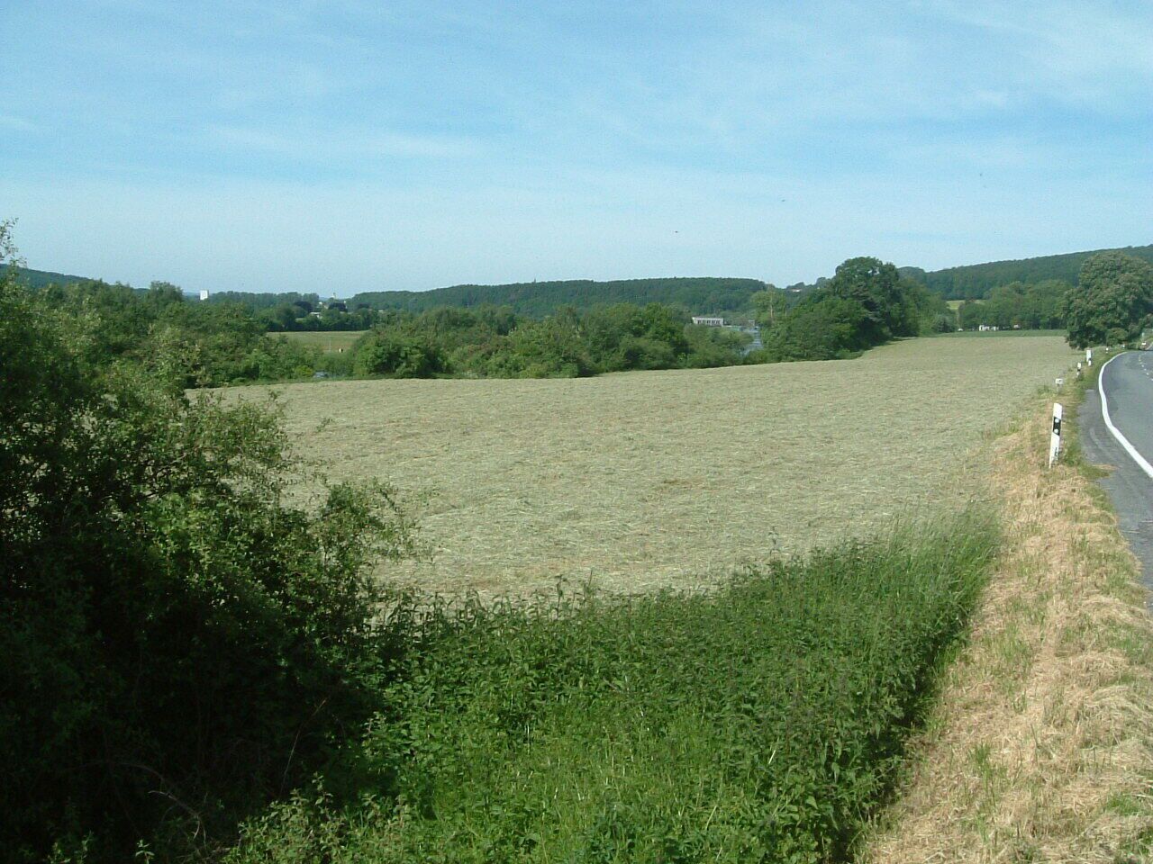 A rural landscape with a field, trees, and a road curving to the right.