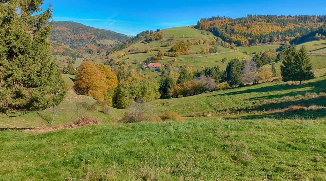 Landschaft um Ehrsberg