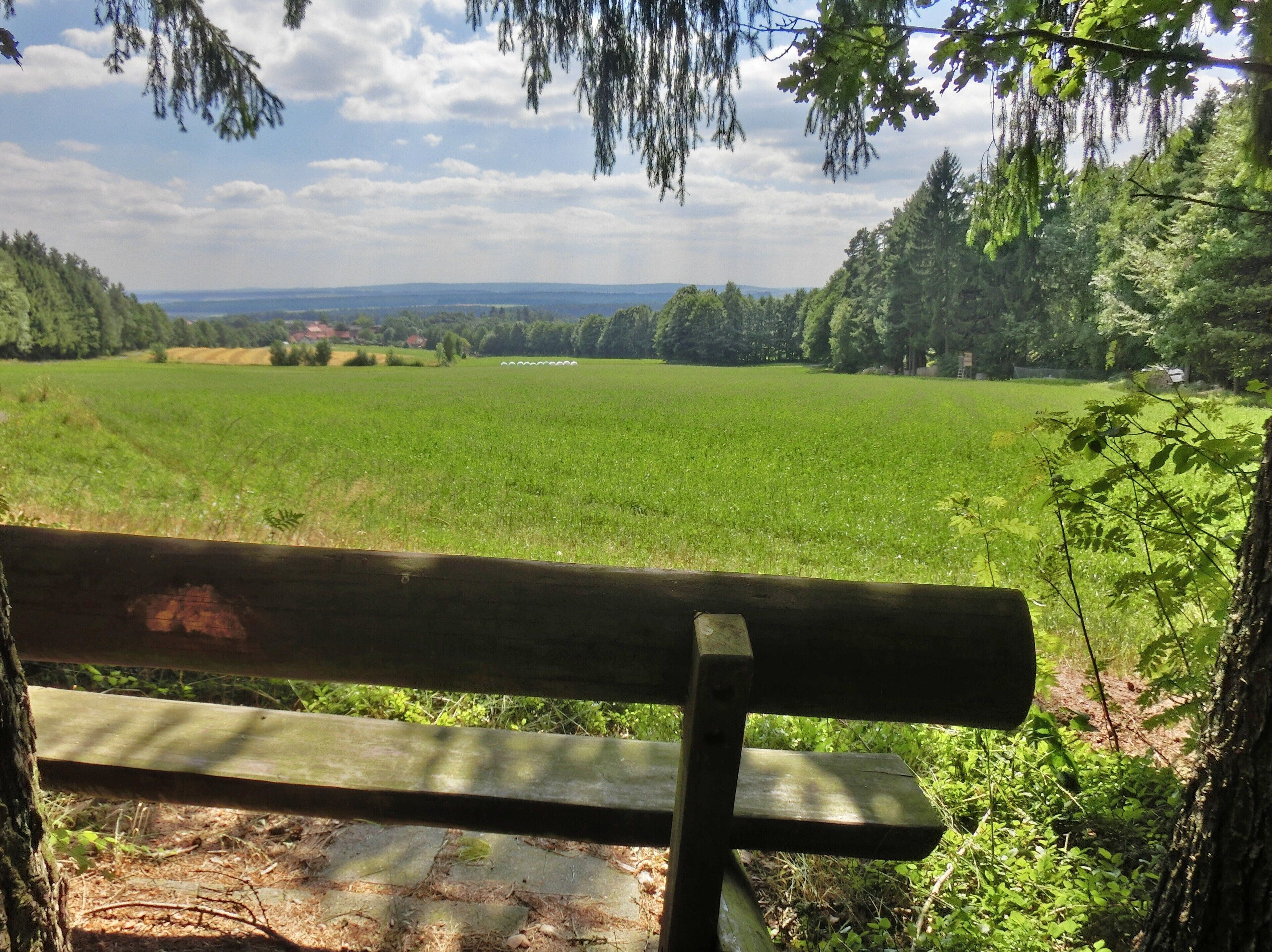 Aussichtsbank am Schieferberg